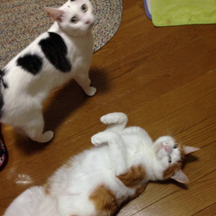 5c464730 39d7 49e1 8a48 b6e2075d3afb