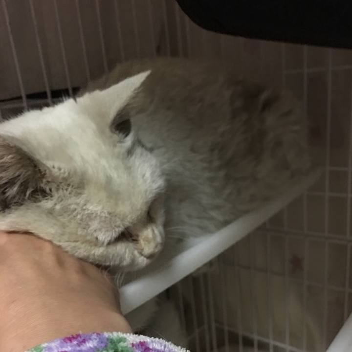 5c4686f0 97fb 4c86 a0bd de466b716cce