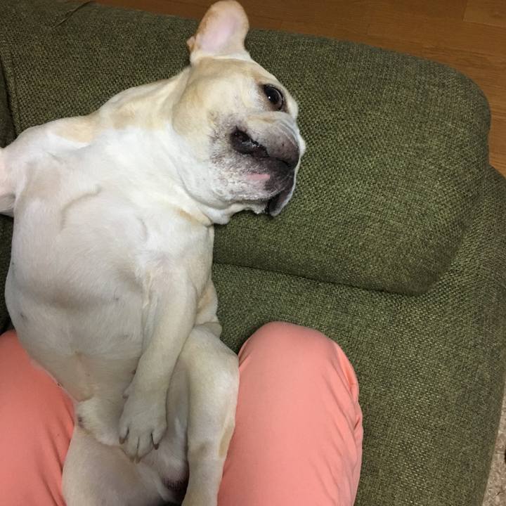 5c472099 e9de 4166 b11b 5d09768d43af