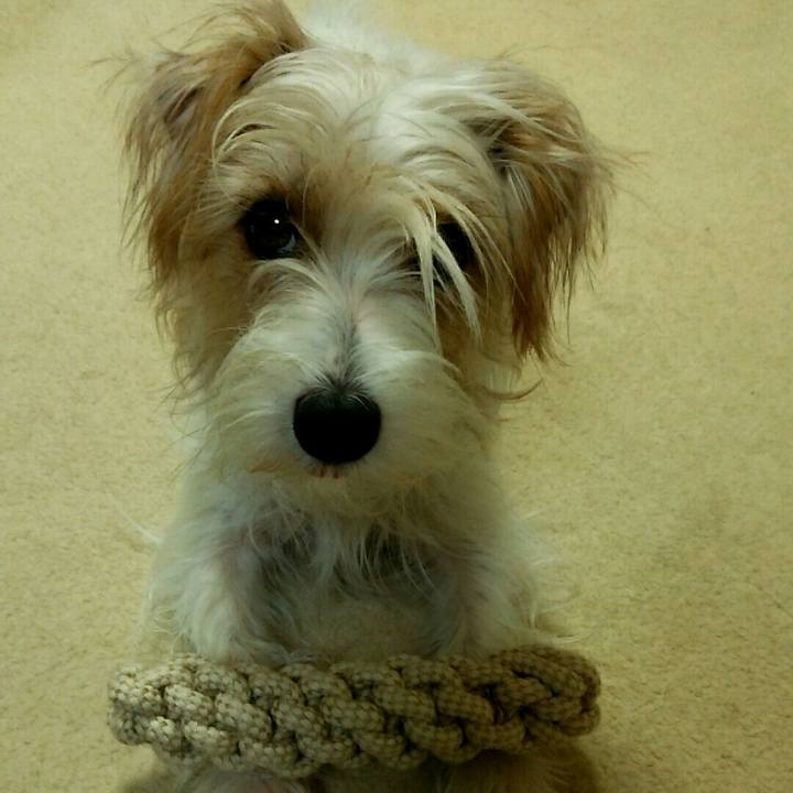 5c47c3b6 9da7 4e20 8aec b823ddb82e31