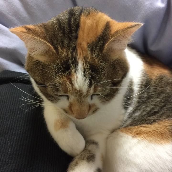 5c493014 4e5c 4cae 9c3c 9e41348add3f