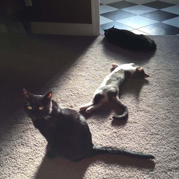 5c49f88a 7cb6 4ed3 b931 bc446c7dce1d