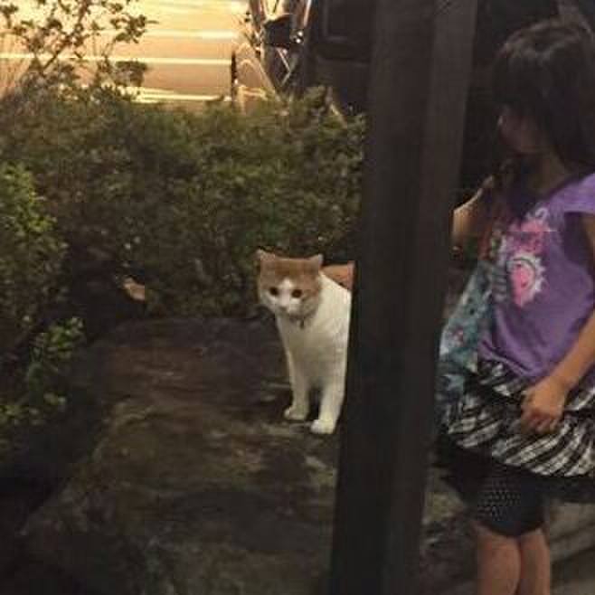 5c4a673d 5691 4242 a538 3eae04a404ce