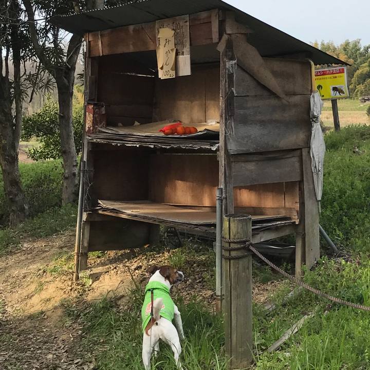 5c4ae13d a3bb 4e60 b71c d41414ed4cd8