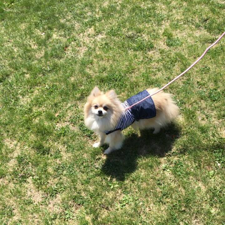 5c4b0d57 3352 4c89 b296 e15b1fa46ed0