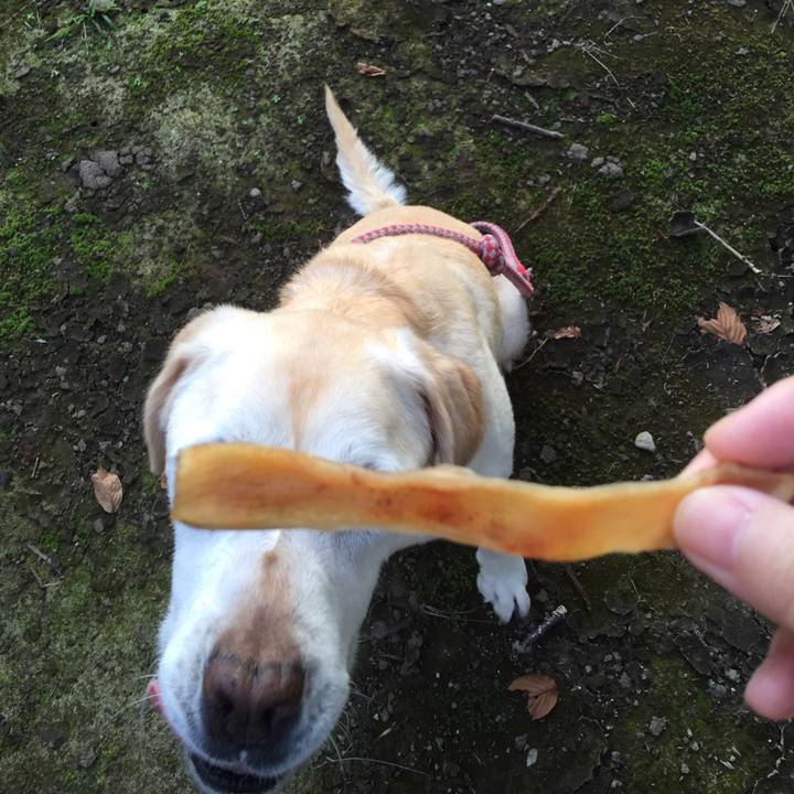 5c4b3c16 b76b 4645 a647 332459497a68