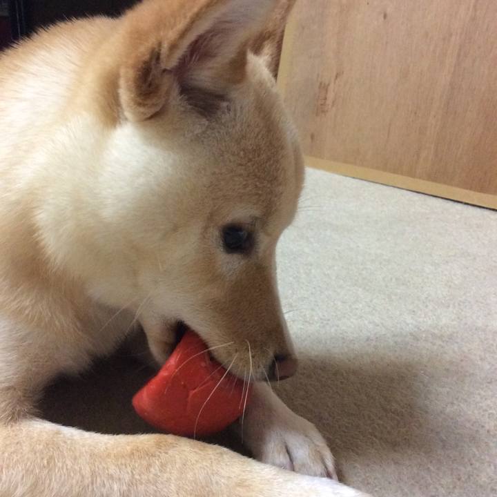 5c4c322e e710 4d93 97c9 c89dede57d2d