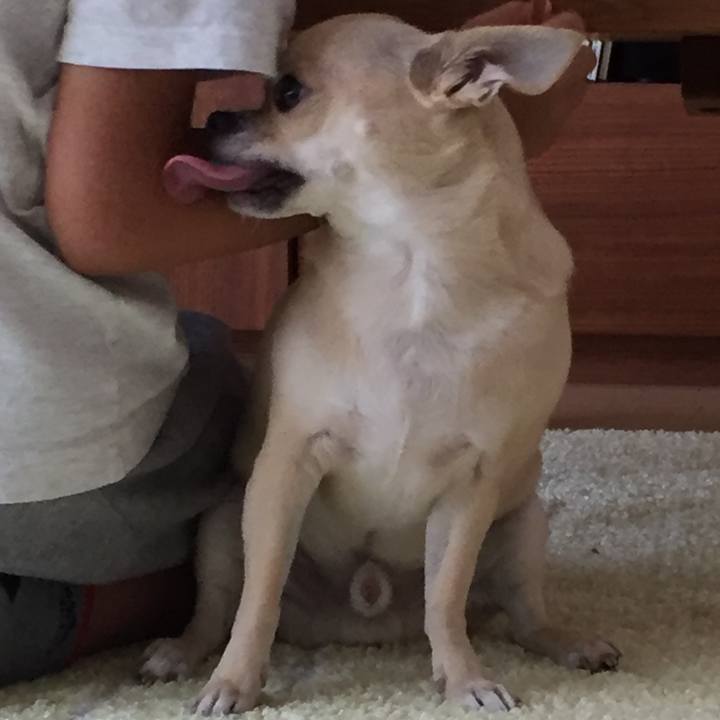 5c4c7ecb e2ac 422f ad9c 8c5034bb15a9