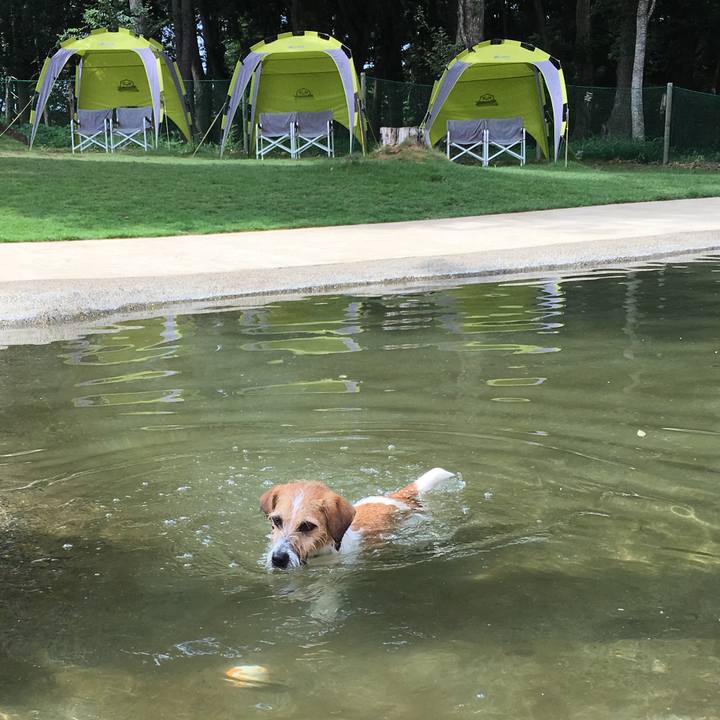 5c4c80c1 86e0 43bf a5a0 6980311e9d52