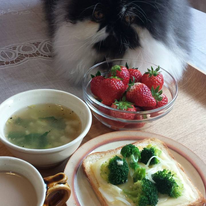 5c4dcf57 a800 4228 8ff8 3db814a2dd67