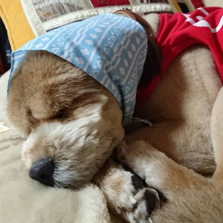 5c4e1cca 2192 456e 9f80 3e7ddbe6c897