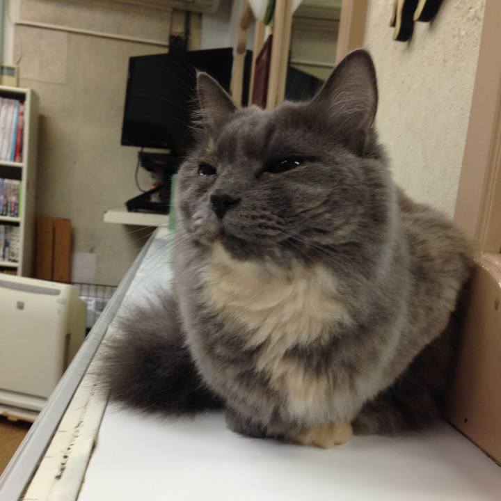 5c4e2636 72d0 4a70 9857 f667bdbc4e20