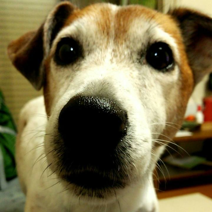 5c4e3f04 107c 4df6 a954 8f009d120159