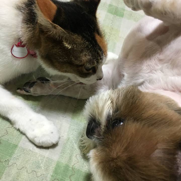 5c4e5b37 0a6a 4ac1 bc10 07c648cc47e5