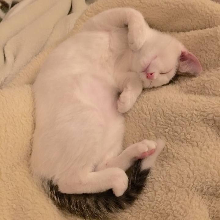 5c4ea625 169d 437e b1b6 1b76c664cbe1