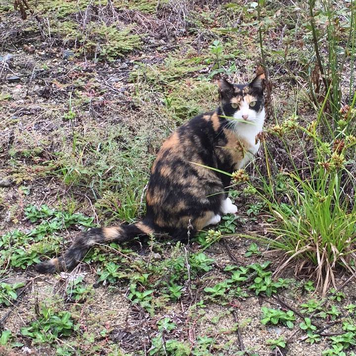 5c4f410d b32e 454a 9cb8 fc2490db214f