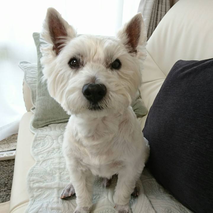 5c4fc5cb b6c1 4960 bc94 39c05ae92bd8