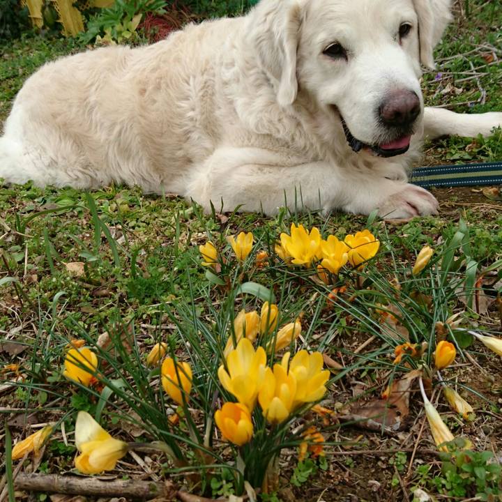 5c4ff580 9aaf 490f 970b a19b235375f1