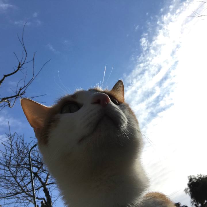 5c50425d 22f9 4072 a2fe 1c9ab16b4ff8