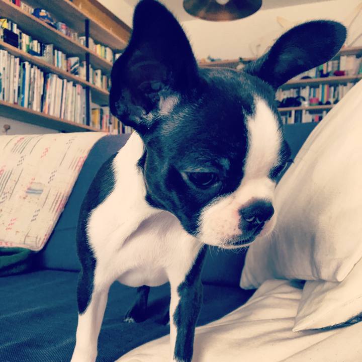 5c50bf0c be3f 4fb6 9f80 6097a23ebdc1