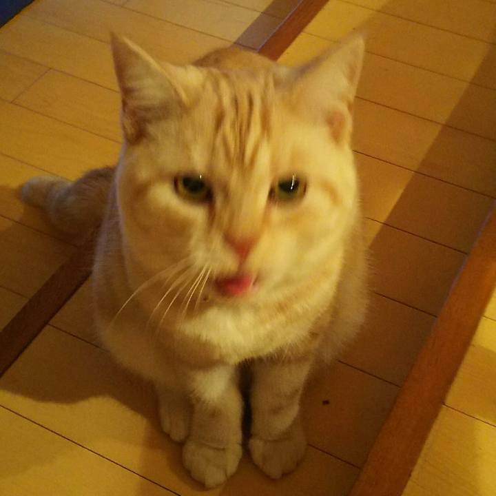 5c5170b6 1cb2 4858 8673 751a38414e35