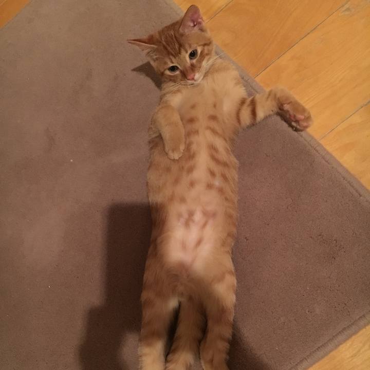 5c51792c c356 4187 94e6 1a715e875c84