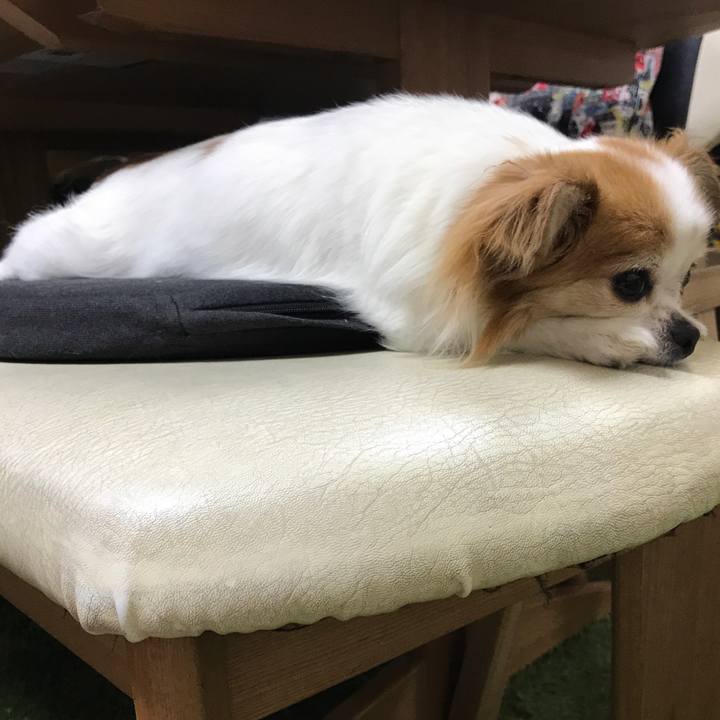 5c51c0aa 34e9 4ff4 a015 9c6c962f26f8