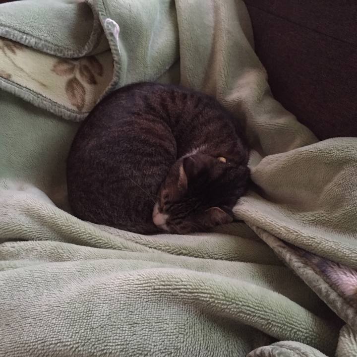 5c52b916 f2c3 4ea1 b91b 4ceebe917e87