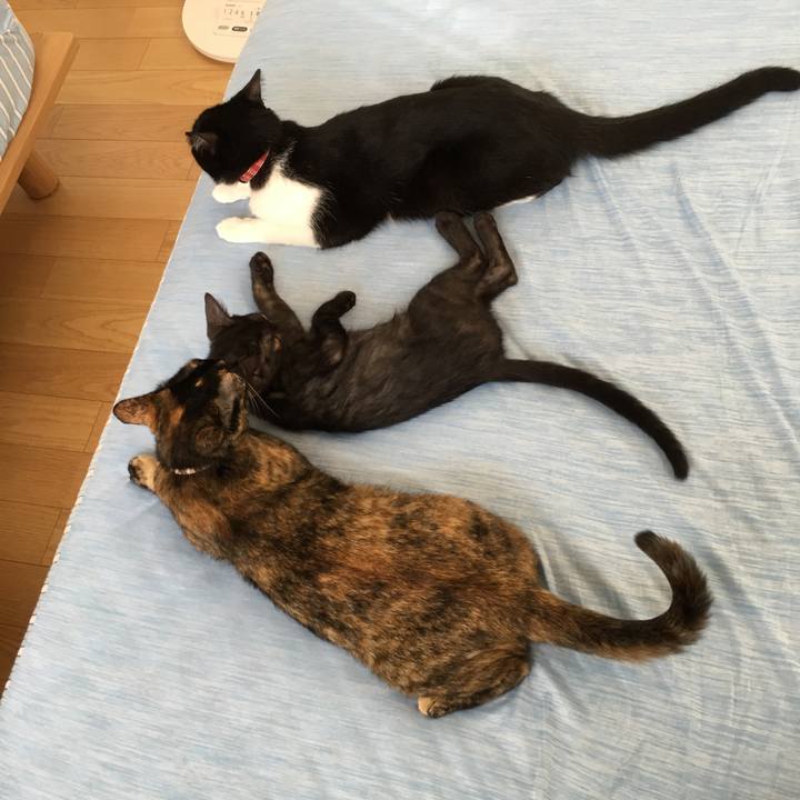 5c5408f3 af23 40da af3d 6b961a1d74be