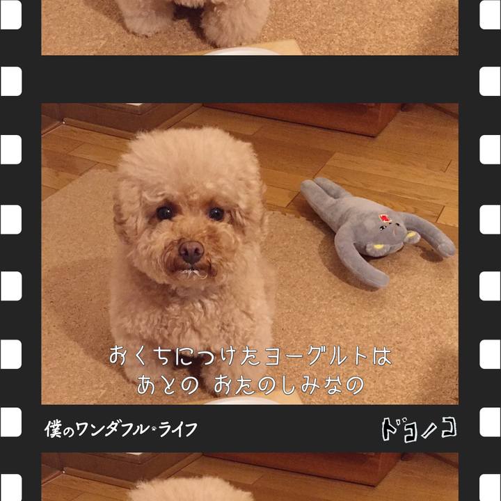 5c54238e 32fb 42f0 920e a3eace2ff768