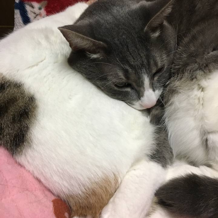 5c5442c7 64f2 4dda b114 d94d62257d3e