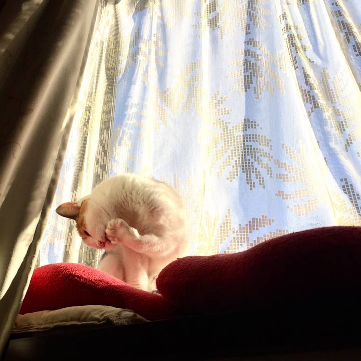 5c54a5fa ae5b 4046 bf0c 18aad94b5e4b