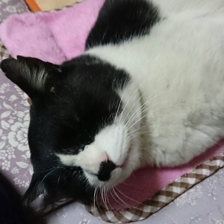 5c54d1a3 e4da 4982 940a ea81540d6ce4