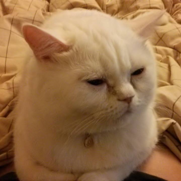 5c5500e9 edba 4bb9 9c2d 6cb7fd3fbe8f