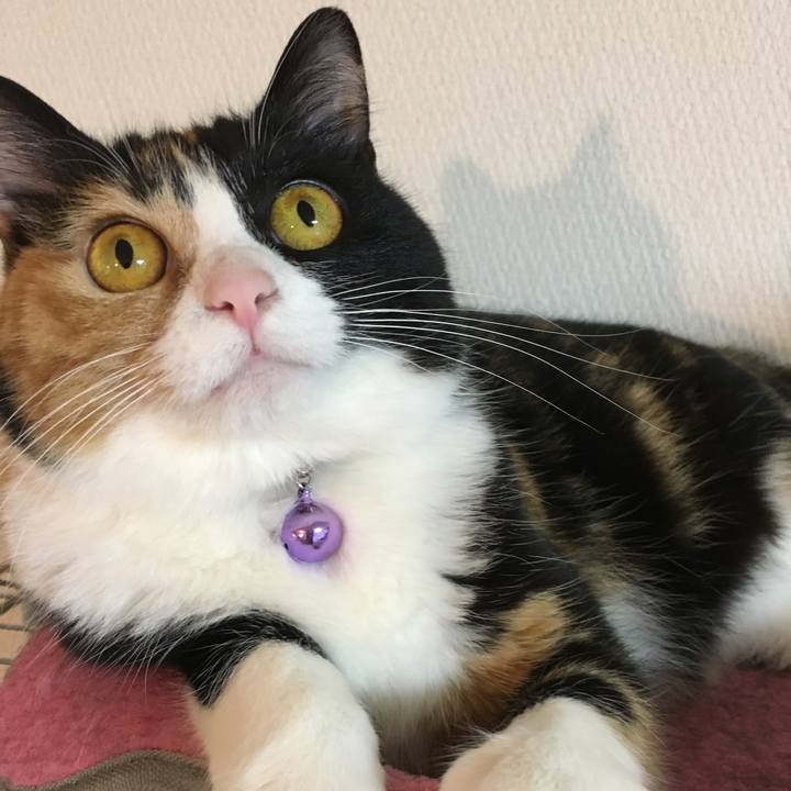 5c552804 838a 4478 ac57 1f04f0abb351