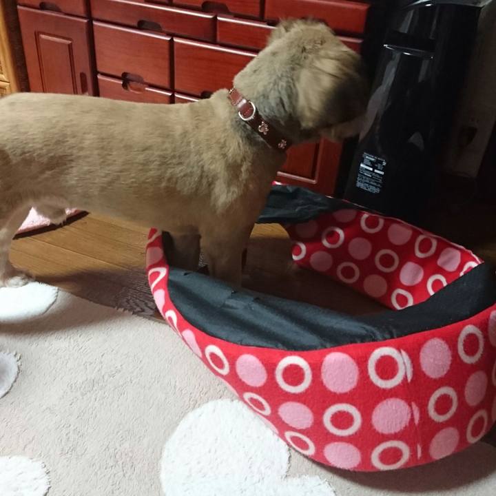 5c559b11 b82c 47c5 a235 c69936f3f475