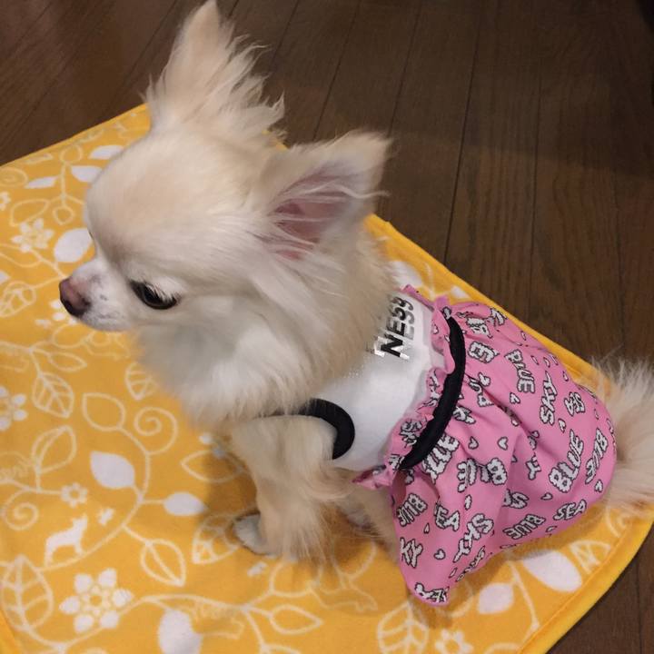 5c5646d8 fc3f 4832 a88b 626bd1ada9fa