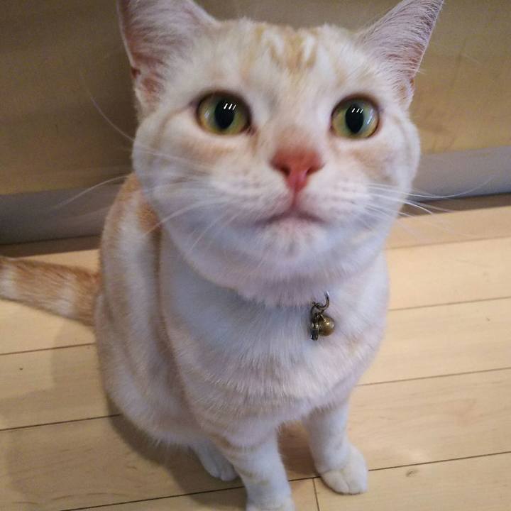 5c569478 43a9 448d 82e2 96876503885f