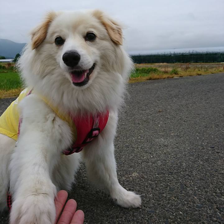 5c573a24 dc46 404f 8b0f a99931e2cee1