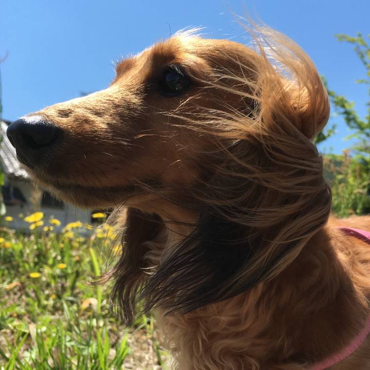 5c591963 2c5d 44a7 ace7 edb582f180de