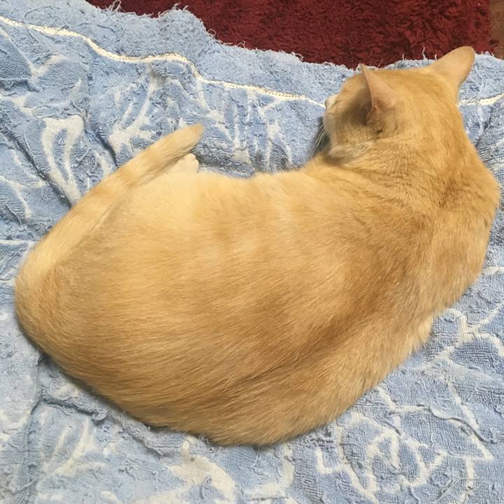 5c59539d 7ace 4dab 9a93 ea9ad1db2fee