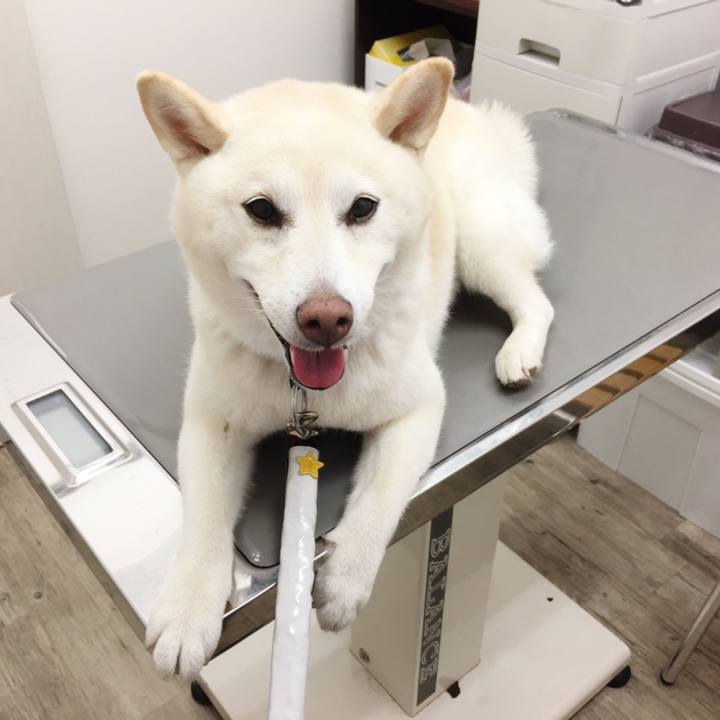 5c59d47e 5bca 49d9 b0d6 43e5a89983df