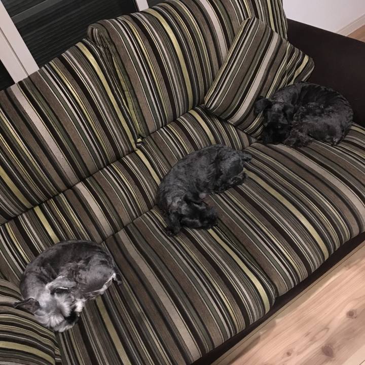 5c59ef8d fb81 4f53 90a1 244f44066285