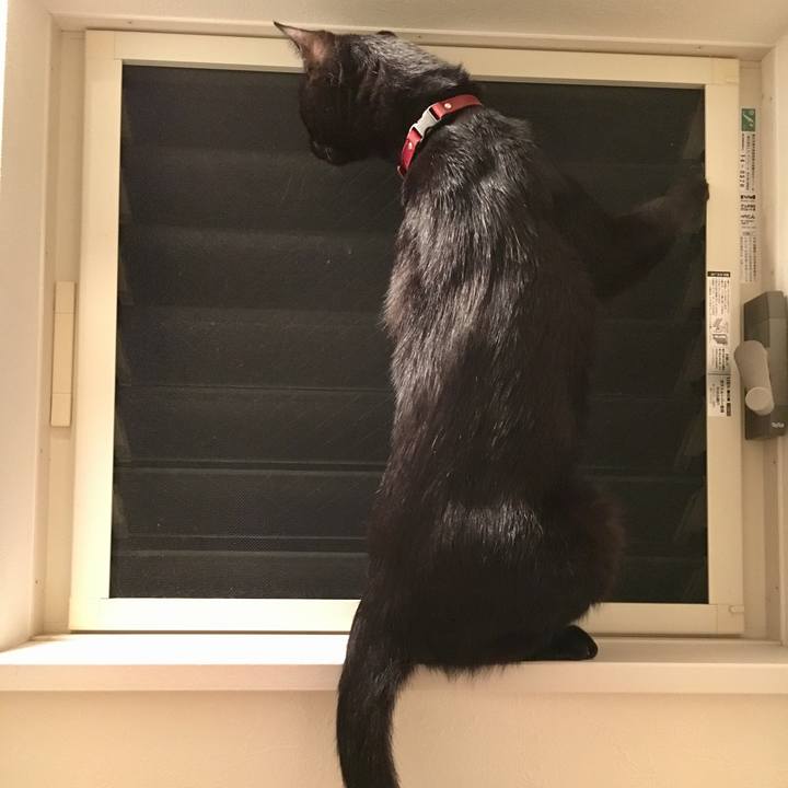 5c59f02d 270c 4233 841e 6878ae69acfd