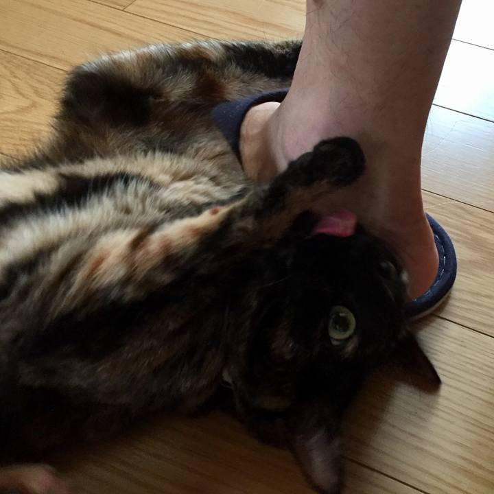 5c59ff06 fab7 4d3b a0b5 ffb0f8ee350f