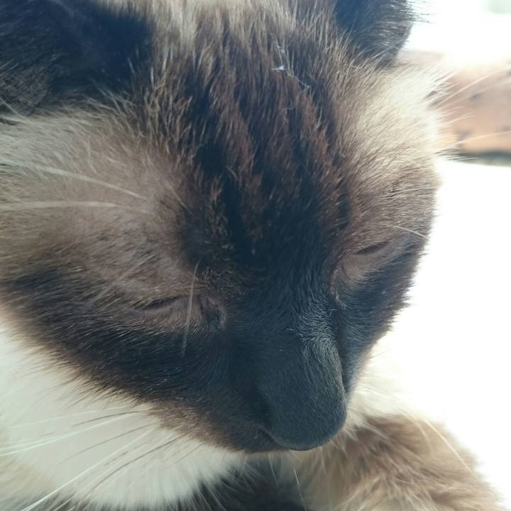 5c5a119b da37 4c58 ad62 11b1b282907d