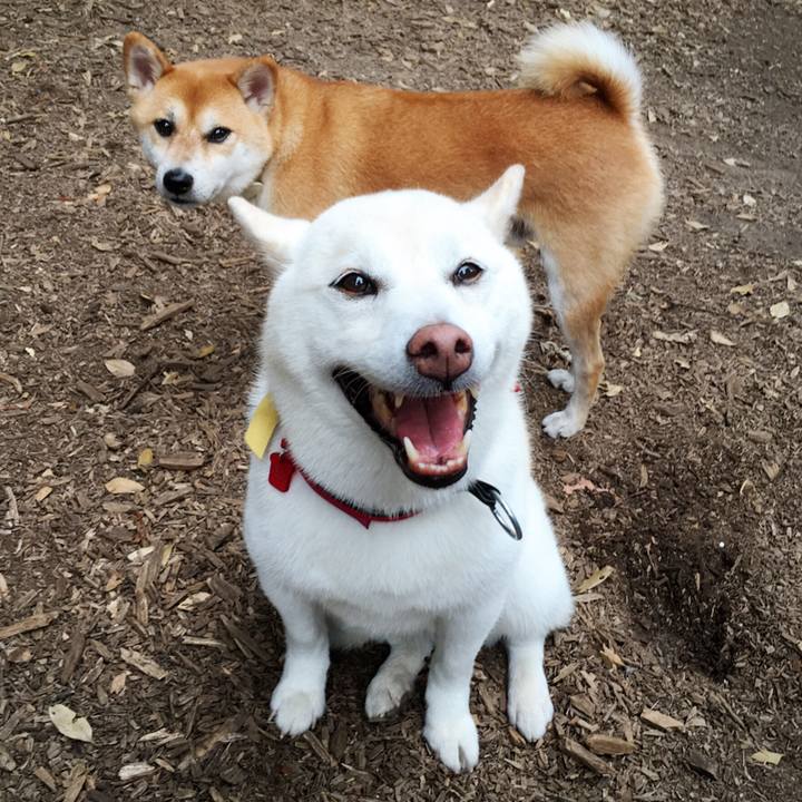 5c5ba3f4 2273 41ca 9b2e f2d7ad191a84