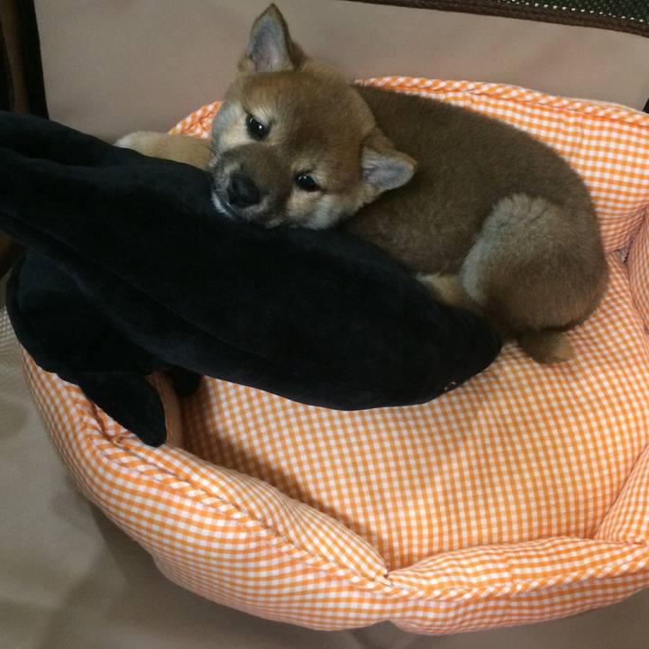 5c5c14e6 6122 4851 8d9f 397faaf167d7