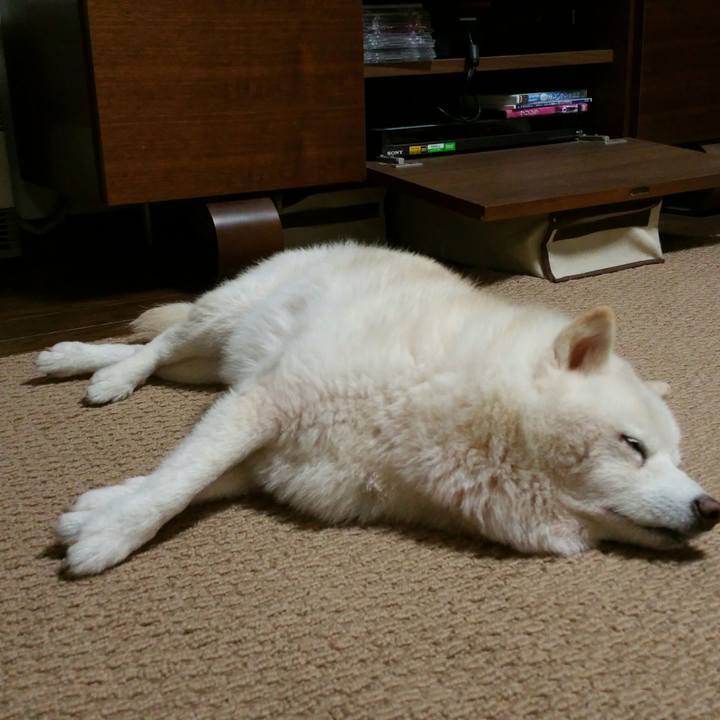 5c5c4b98 39b7 4b3e 8789 82a6558cb681