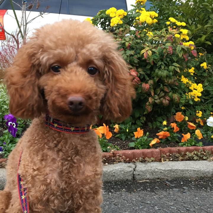 5c5c73b2 6d90 4c50 ac2a 757a0606e674